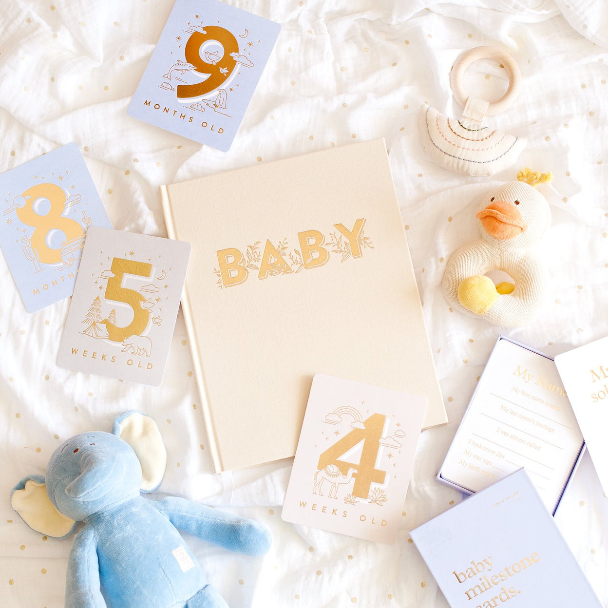 Baby Milestone Cards - Powder Blue